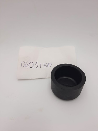 0603130 .jpg